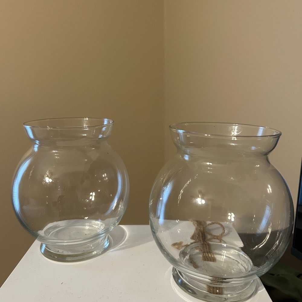 Classic Clear Glass Vase Pair